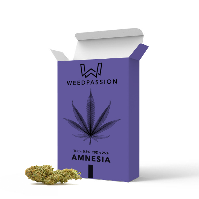 Weedpassion Amnesia 25% cbd formato distributore 5gr.