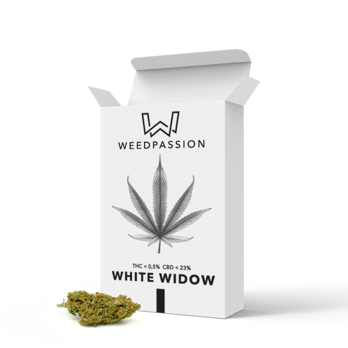 Weedpassion White Widow 23% cbd formato distributore 5gr.